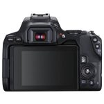 دوربین عکاسی کانن CANON EOS 250D Body